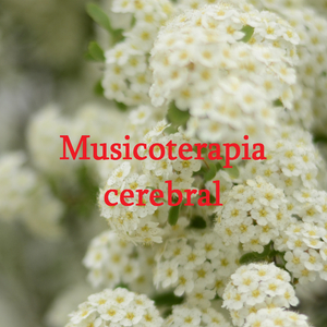 Despertamiento
