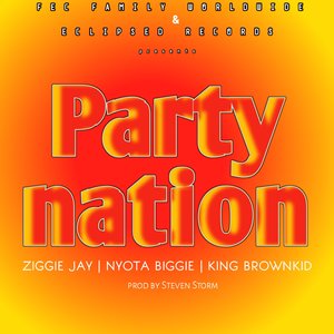 Partynation