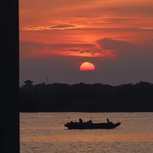 黄金大道的秋天