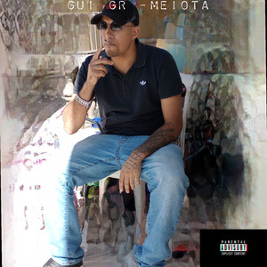 Meiota