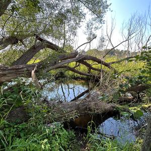 blink-182 (Stoovies Mix)