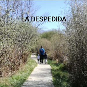 La despedida