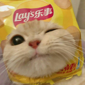 彩色翅膀（《原神》恋爱循环夹子kinsen仿版）