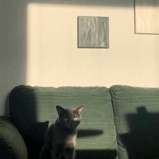 很轻很温柔的欧美歌曲