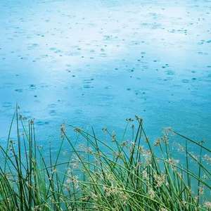 春风化雨（翻自 银临）