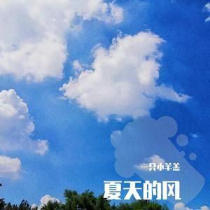 夏天的风