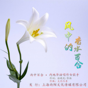 风中的香水百合 (伴奏)