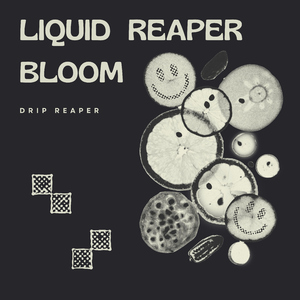 Purple Bloom Fracture