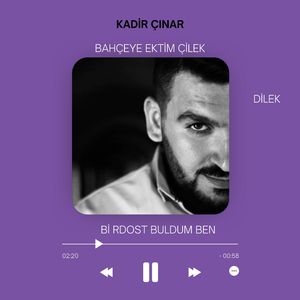 Bahçeye Ektim Çilek