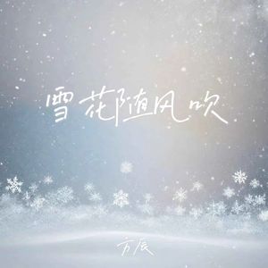 雪花随风吹