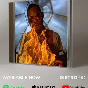 Danzao top one. Zamkomba