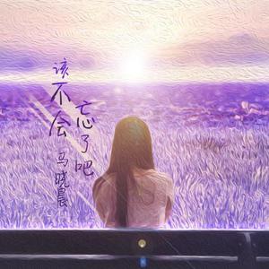 该不会忘了吧（翻自 马晓晨）