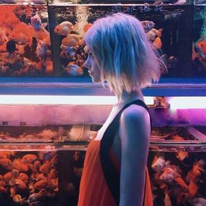 去年夏天（翻自 家家）