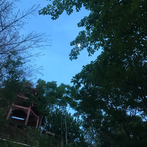 平行时空的告白