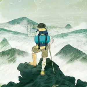 化身孤岛的鲸