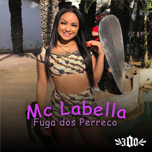 Fuga dos Perrecos