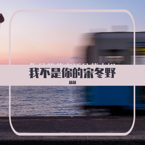 我不是你的宋冬野