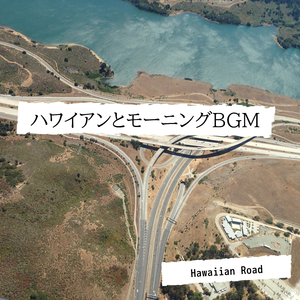 Hawaii Paddler
