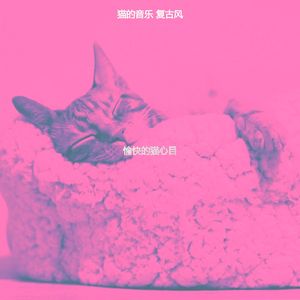 抚慰的压力大的猫回忆