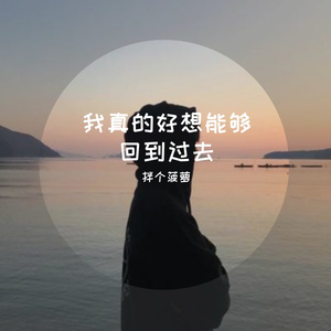 好想能够回到过去