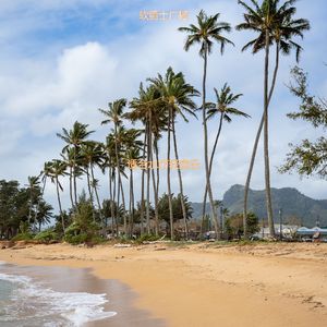 适合休息安静的音乐