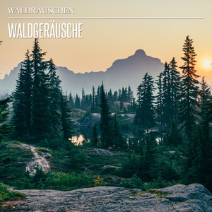 Mystischer Moorklang