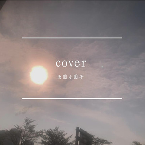 羞答答的玫瑰静悄悄的开