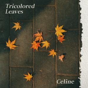 Sound Of Fallen Leaves