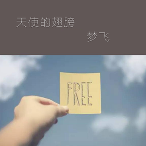 吉他弹唱 天使的翅膀