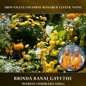 Brinda Banai Gayethe (Maruni Chhokada Song)