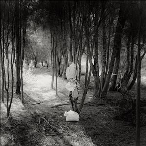 Gannets gulch (Live)