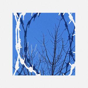 боже.вільна