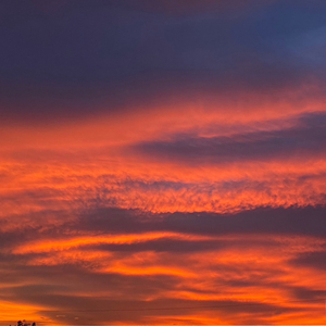 ยินดีที่พบพานและลาจาก