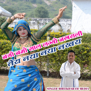 Nayo Nayo Saal Lageyo Nakhradi Tera Naya Naya Nakhra