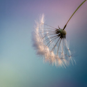 반짝이는 두근거림