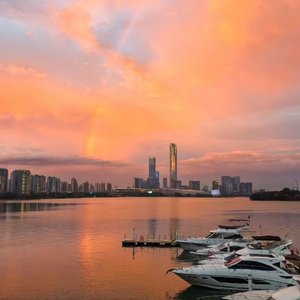 Reckless Cover.忘记