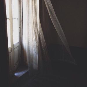 菊花爆满山(深情版)