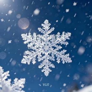 雪花雪花你可懂我