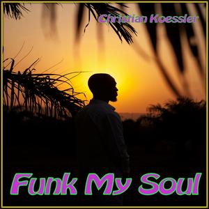 Funk My Soul