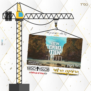 אתה מרים אותי תמיד (רמיקס)