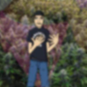 ultima parada: violência!