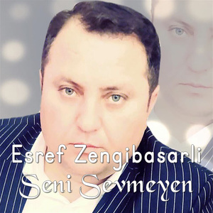 Seni Sevmeyen