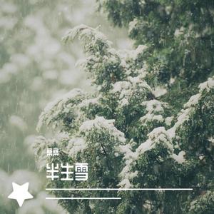 半生雪（翻自 群星）