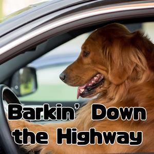 Barkin’ Down the Highway