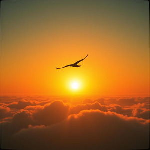 Hari yang Tak Datang