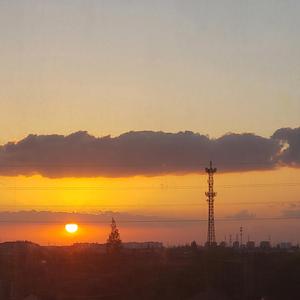 或许我也不知道说些什么