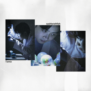 뚝딱뚝딱! (feat. sushiwishfish)