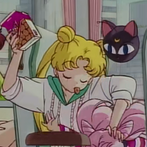 清 風 雅 閣 大 撤 硕