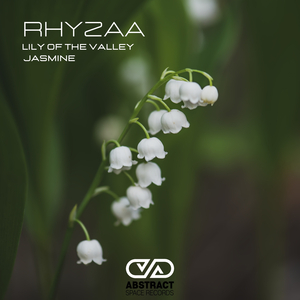 Jasmine (Original Mix)