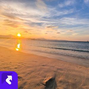 晨曦微光 (现场)